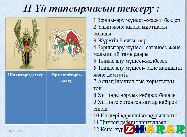 Презентация (слайд): Бунақденелілер класы қазақша презентация слайд, Презентация (слайд): Бунақденелілер класы казакша презентация слайд, Презентация (слайд): Бунақденелілер класы презентация слайд на казахском