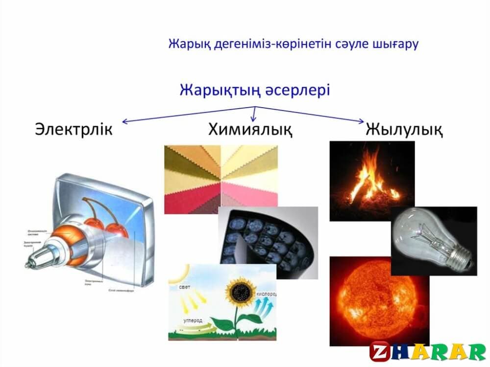 Жарық өмір сыйлаған ана