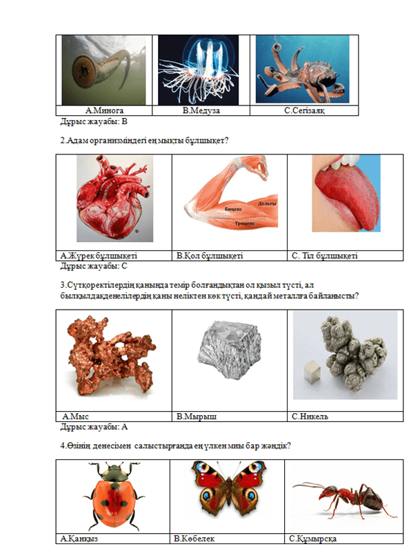 Терең жұтқанды жақсы көреді Терең жұтқанды жақсы көреді