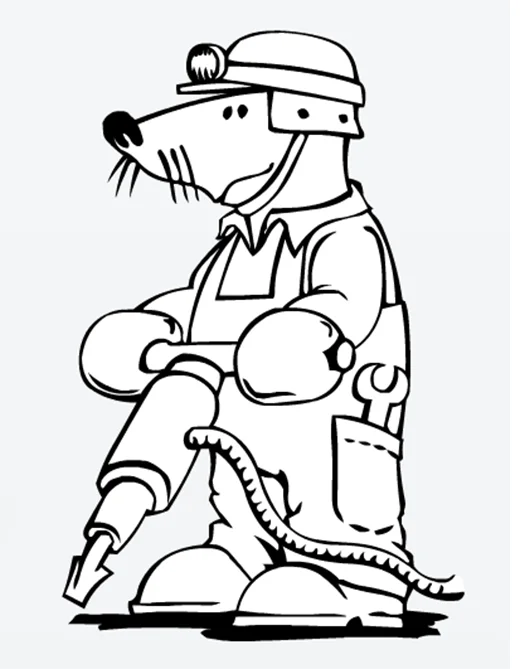 Бояуға арналған суреттер сурет балаларға қыздарға