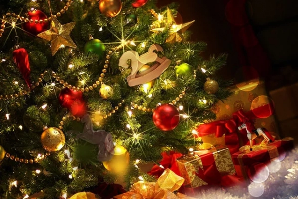 Жағажайдағы ит стиліндегі жалаңаш кискаларды қарау