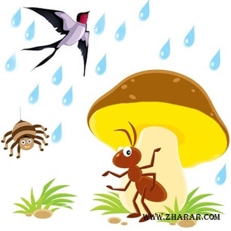 Өрмекші, құмырсқа, қарлығаш, ғибратты оқиға, балаларға арналған қызықты оқиғалар