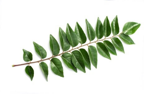 жапырақтар