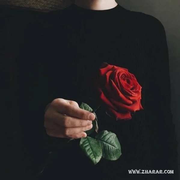 Бикинидегі қисық қыздардың суреттері