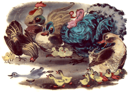 Брюнетка секс бейнелері