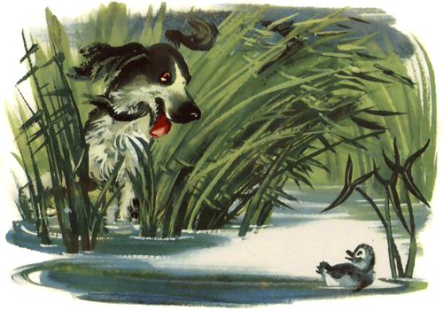 Арық порно көру