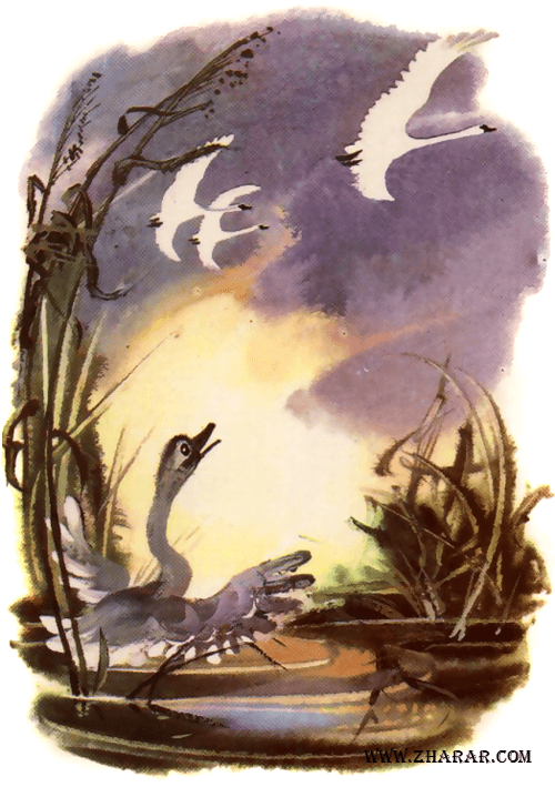 Эротика жетілген адам