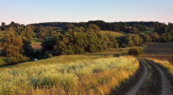 Ірі пландағы пирсинг порно