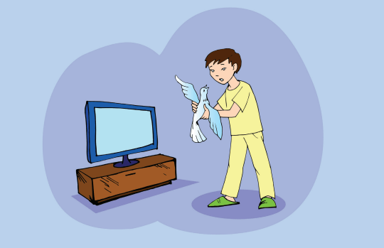 кептер көгершін сурет фото