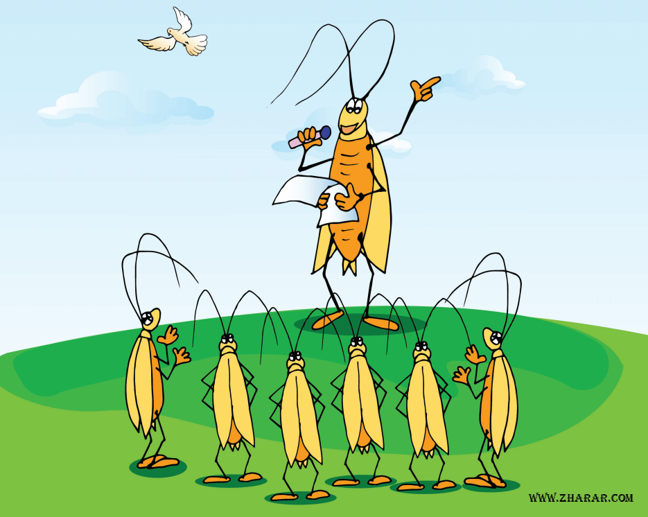 фото тарақан таракан сурет