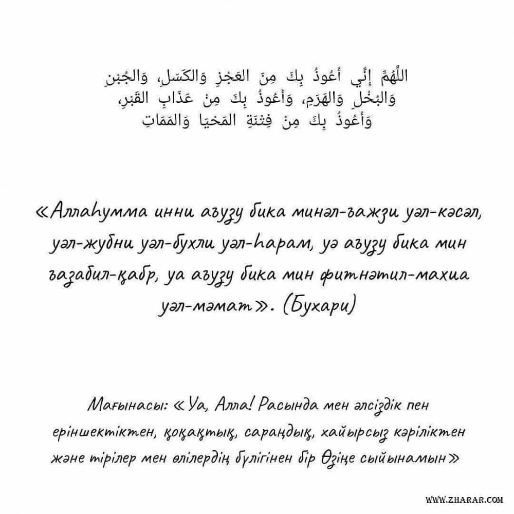 Секс сыныптастары, VSEKS ВКонтактедегі бір түндік қарым-қатынастар және т.б
