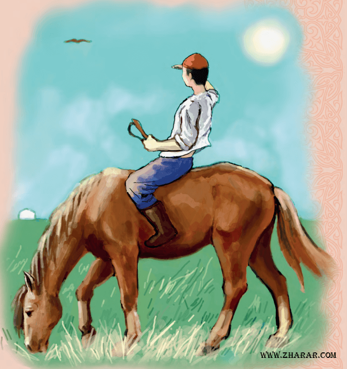 жылқы бала сурет фото