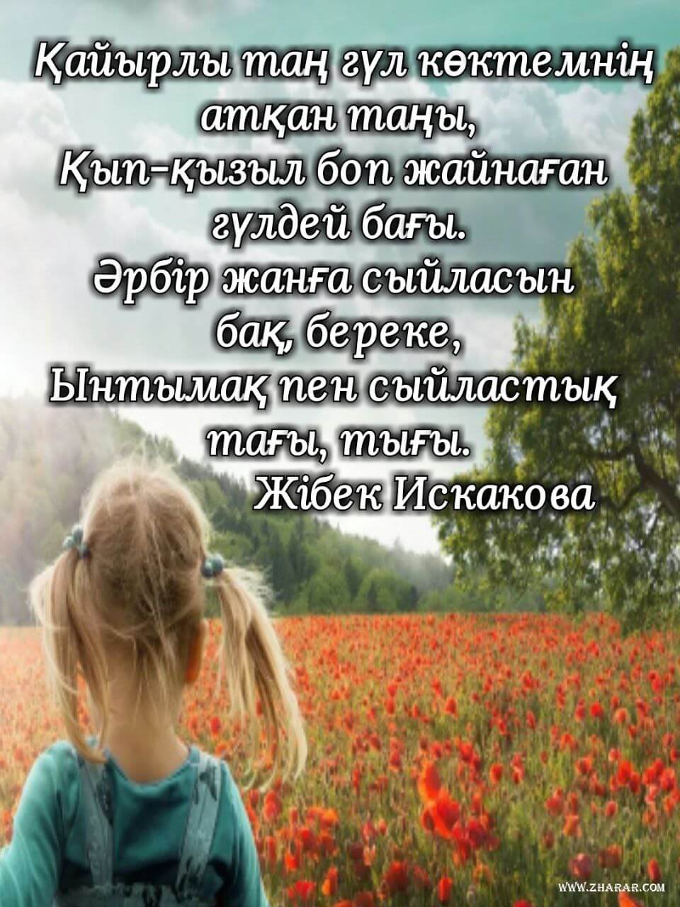 Жыныстық серіктесті ұмыту