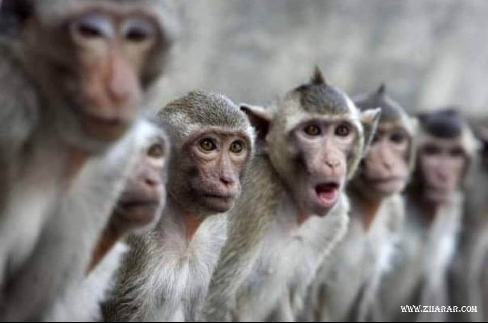 Клиториспен лесбияндық секс Жыныстық бұзылулардың тізімі